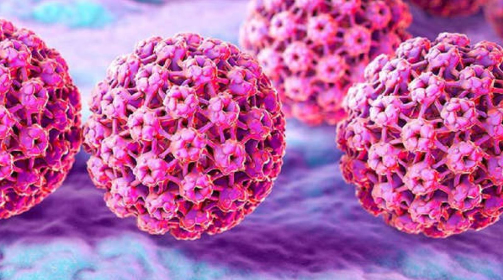 virus vph vacunatorio israel